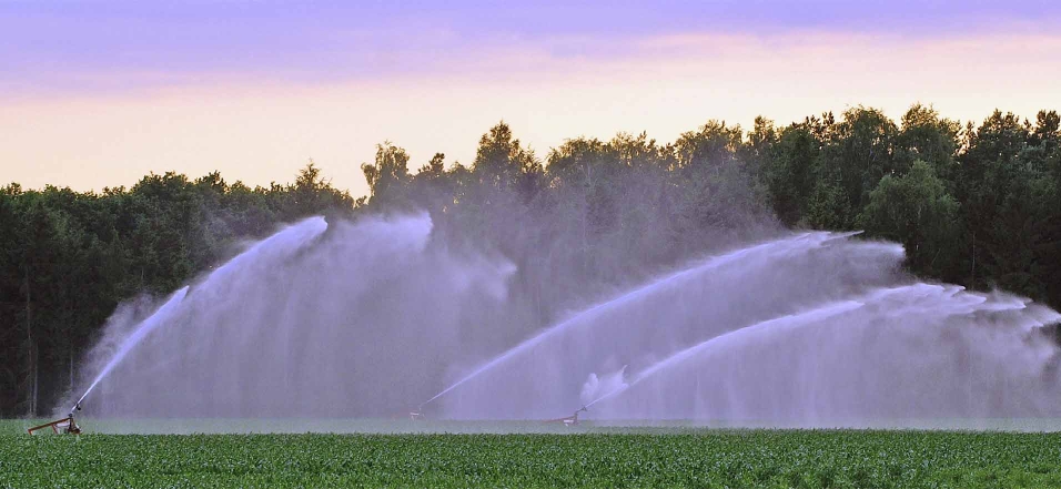 Eine Sprinkleranlage verteilt im Morgengrauen Wasser auf einem Feld