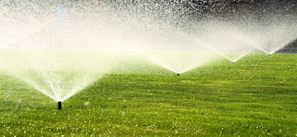 Eine Sprinkleranlage verteilt Wasser auf einem Rasen